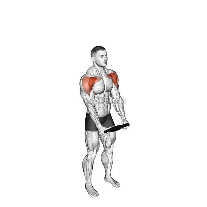 Weighted Plate Standing High Front Raise demonstration