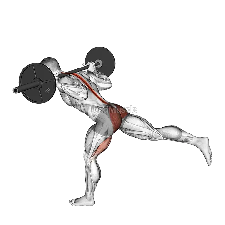 Barbell Single Leg Good Morning demonstration