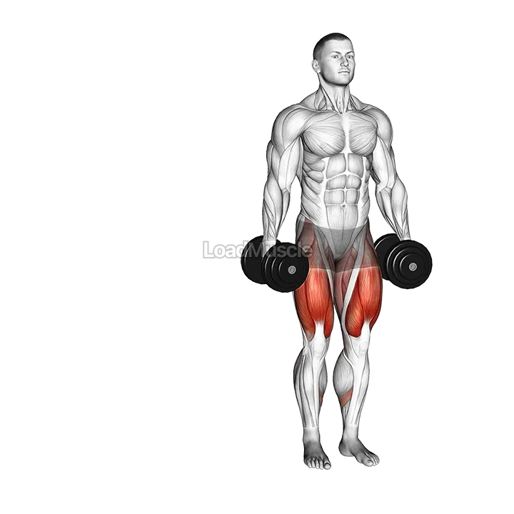 Dumbbell Lateral Lunge demonstration