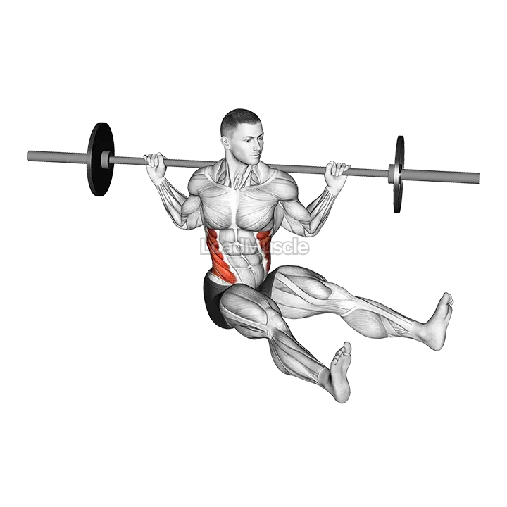 Barbell Sitting on Floor Oblique Twist demonstration