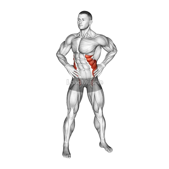 Bodyweight Standing Oblique Twist demonstration