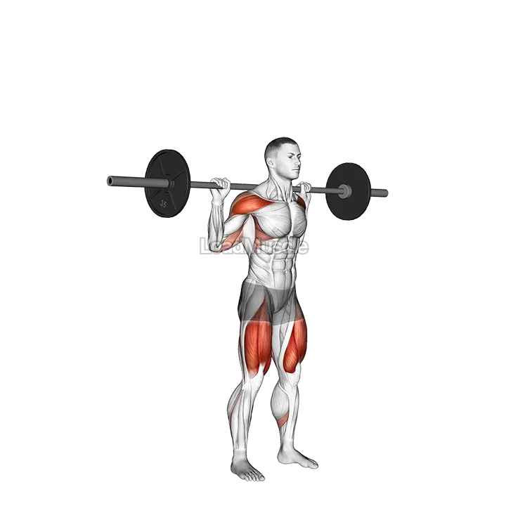 Barbell Behind the Back Push Press demonstration