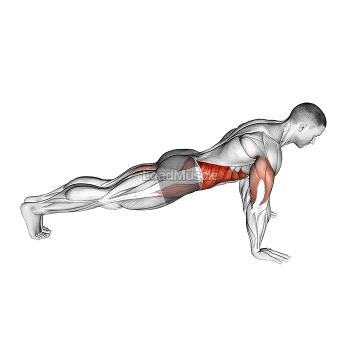 Push-up to Side Plank demonstration