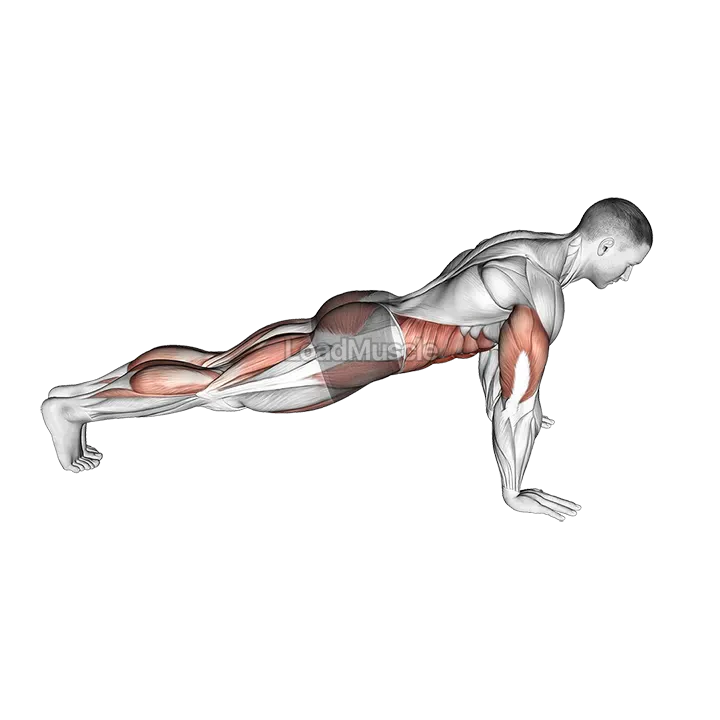 Push-up with Knee Drive demonstration