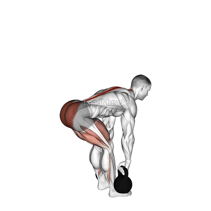 Kettlebell Romanian Deadlift demonstration