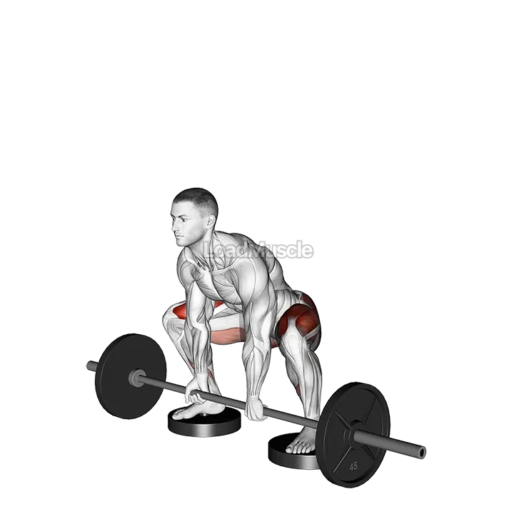 Barbell Sumo Deadlift from Deficit demonstration