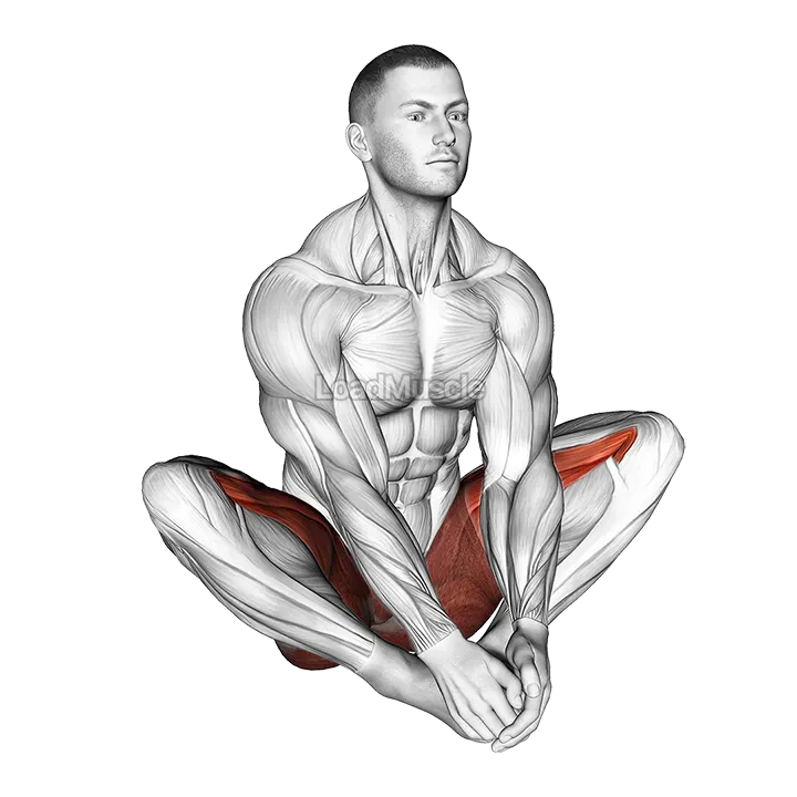 Butterfly Yoga Flaps demonstration