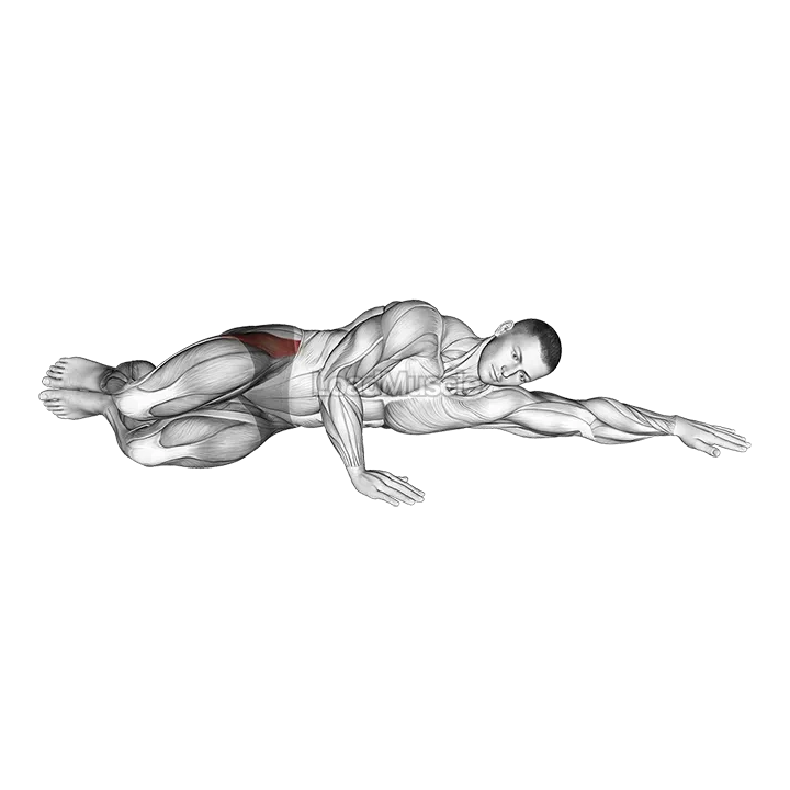 Hip Clam Shell demonstration