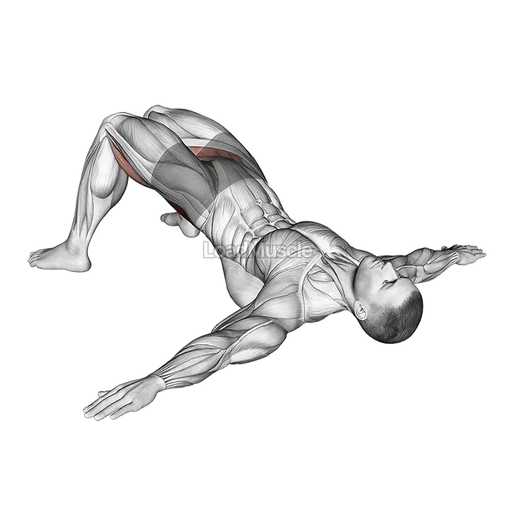 Bridge Hip Abduction demonstration