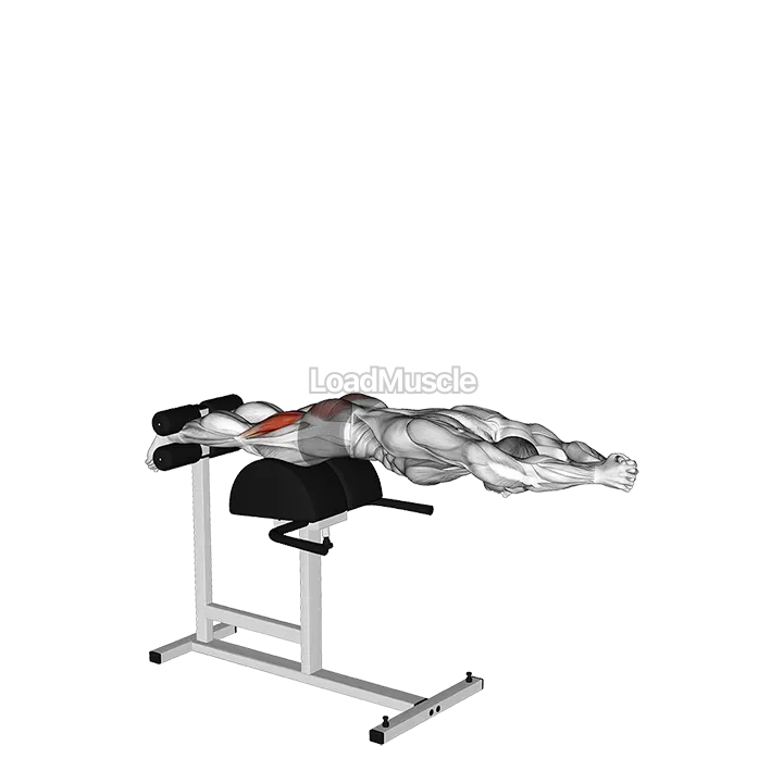 Glute Ham Raise with Extended Arms demonstration