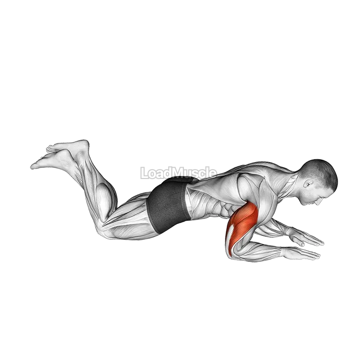 Kneeling Half Triceps Extension demonstration