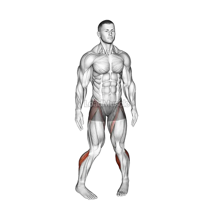 Standing Calf Raise Circle demonstration