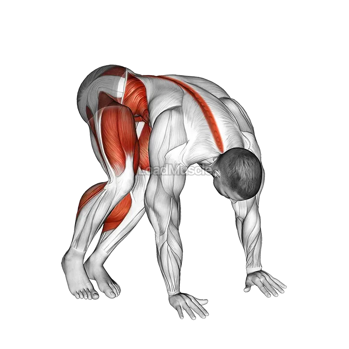 Kick Side Jump demonstration