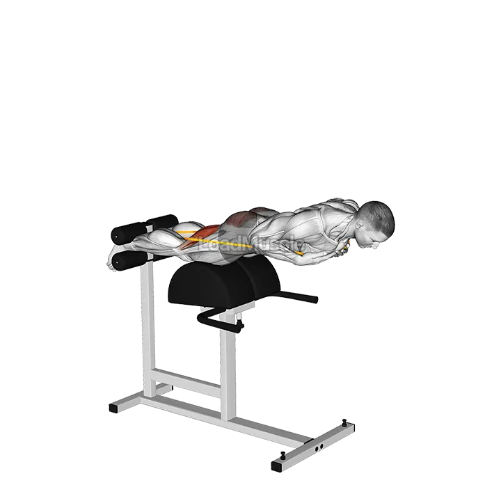 Banded Glute Ham Raise demonstration