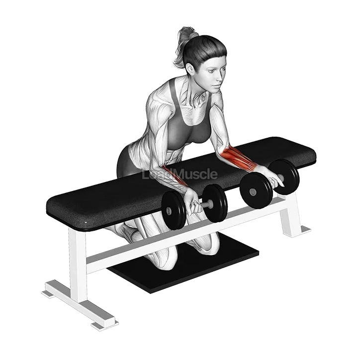 Dumbbell Over Bench Reverse Wrist Curl with Mat demonstration