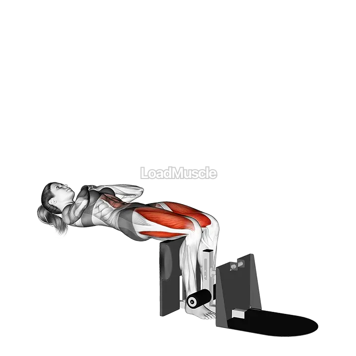 Reverse Leg Extension demonstration