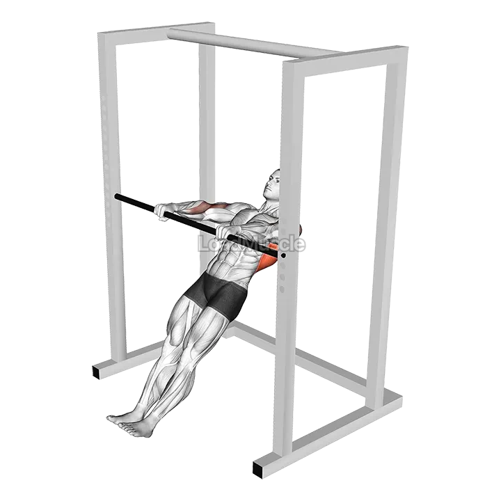 High Bar Inverted Row demonstration