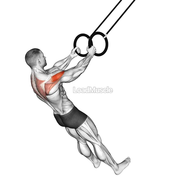 Ring Reverse Fly demonstration