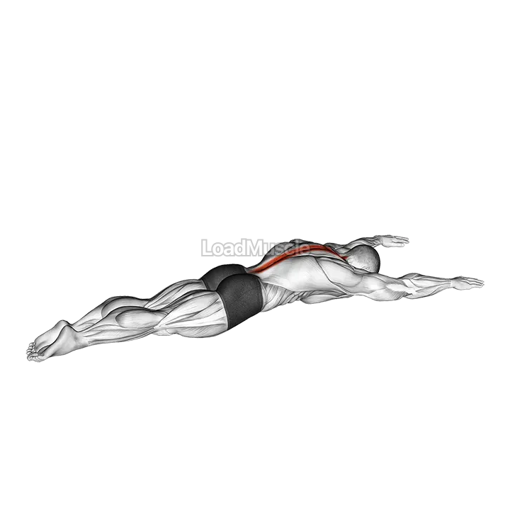 Long Lever Lying Back Extension demonstration