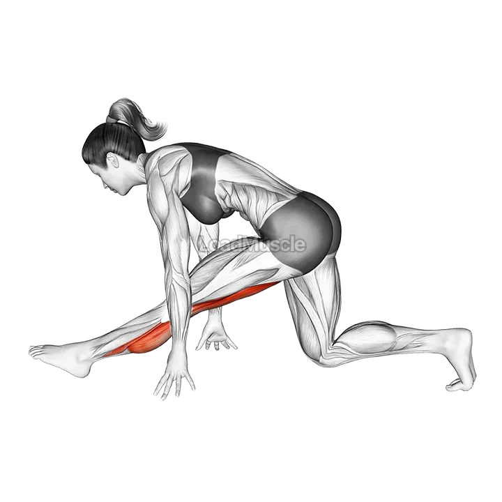 Single Leg Calve Stretch demonstration