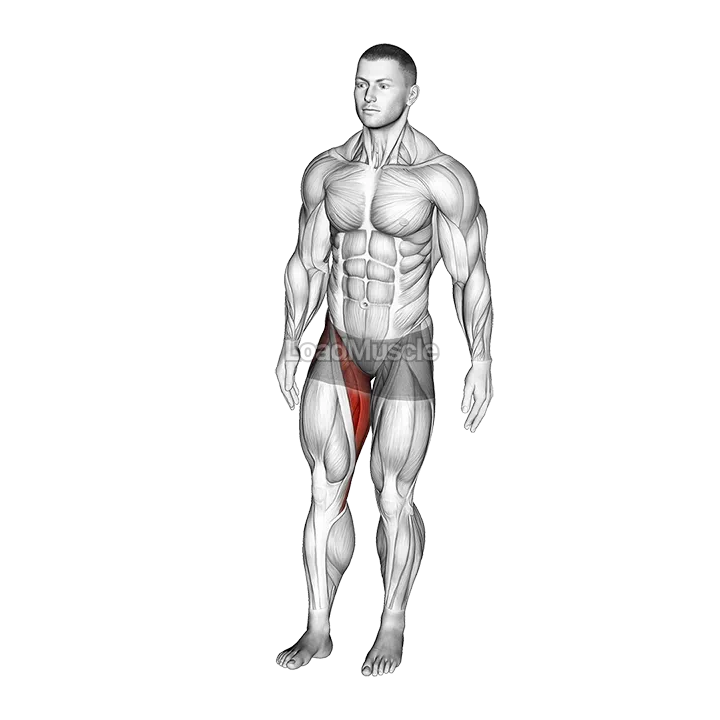 Standing Leg Circle demonstration