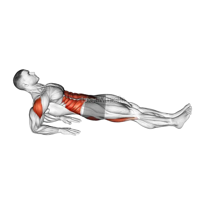 Reverse Plank demonstration