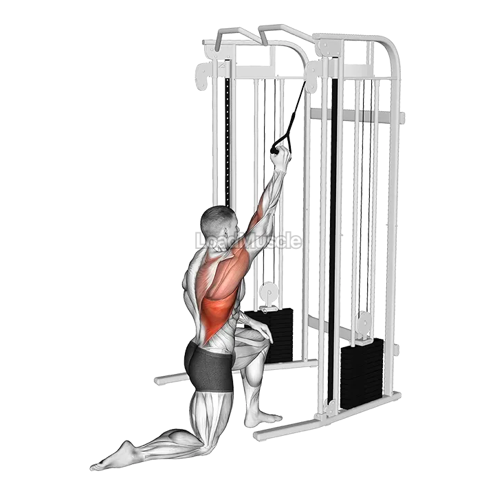 Cable Kneeling One Arm Lat Pulldown demonstration