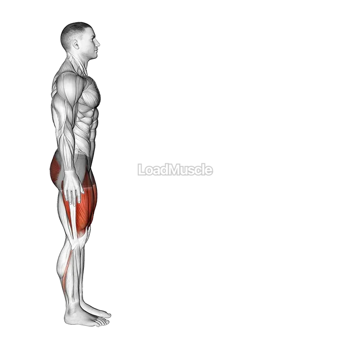 Bodyweight Forward Lunge (Hinge at Hips) demonstration