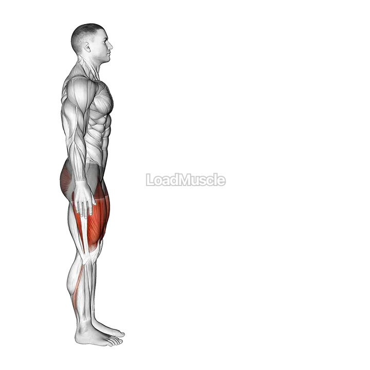 Bodyweight Forward Lunge (Smaller Stance Upright Torso) demonstration