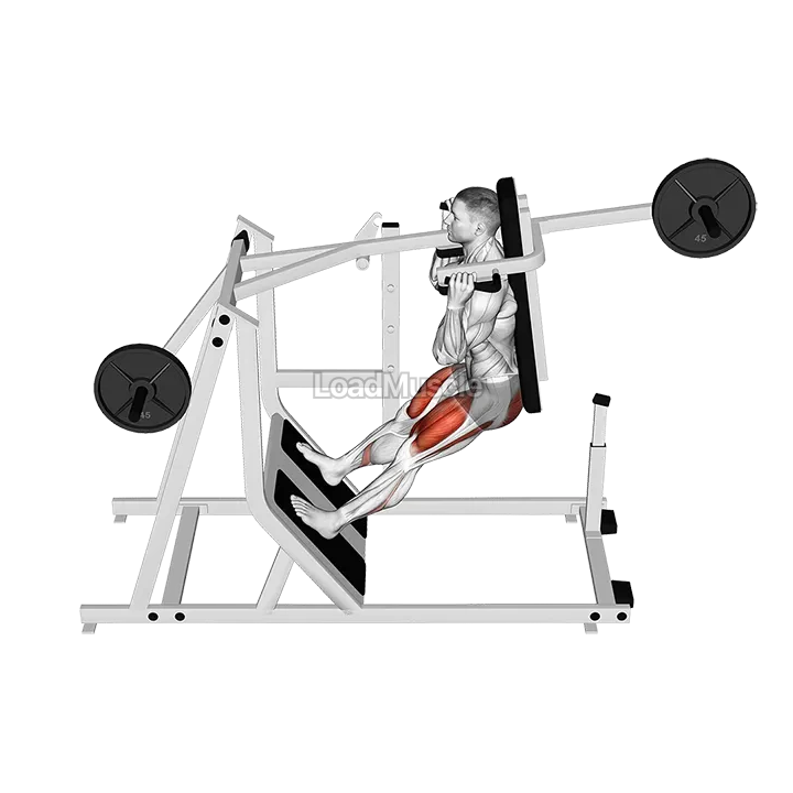 Lever Pendulum Squat (plate loaded) demonstration
