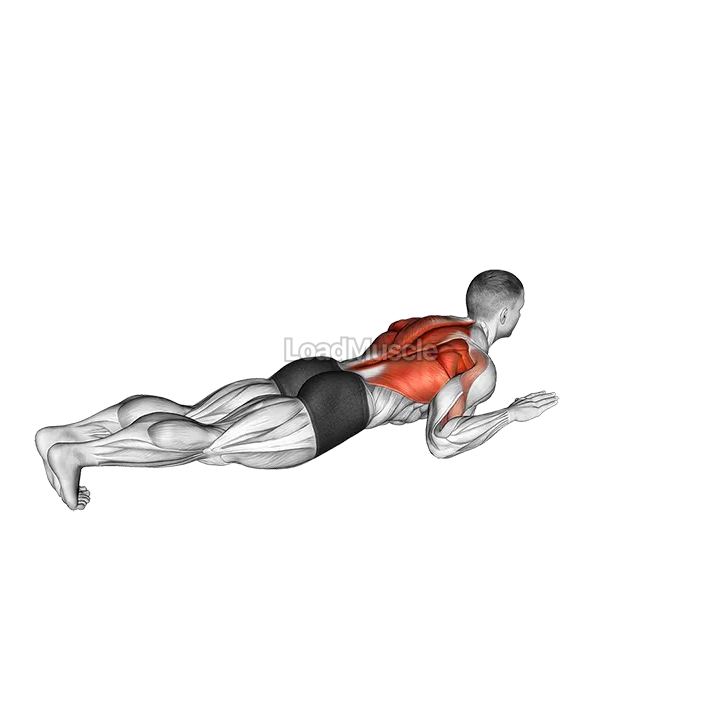Lying Lat Pulldown demonstration