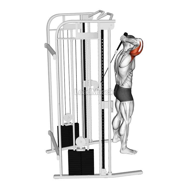 Cable Overhead Single Arm Triceps Extension (rope attachment) demonstration