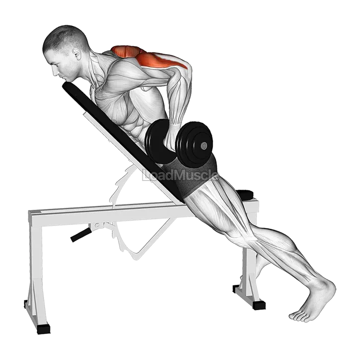 Dumbbell Prone Triceps Kickback demonstration