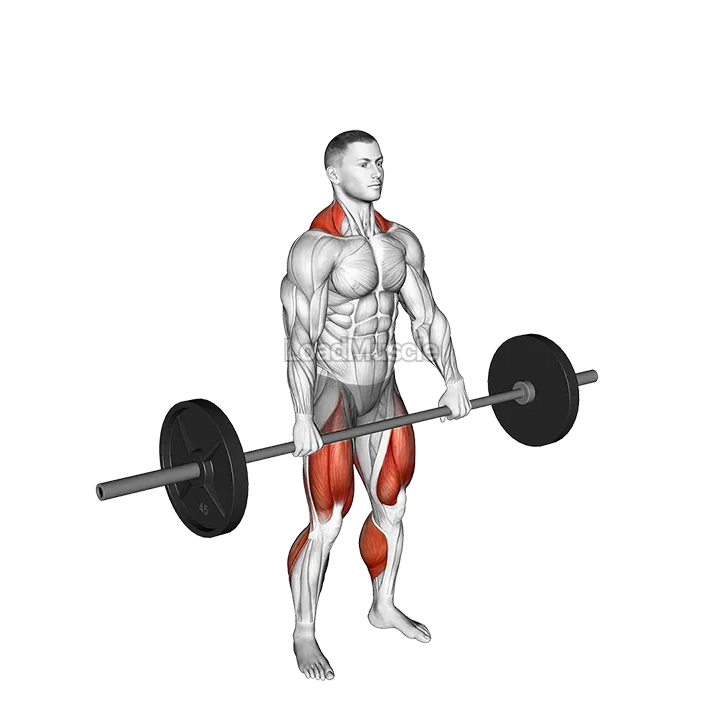 Jump Shrug demonstration