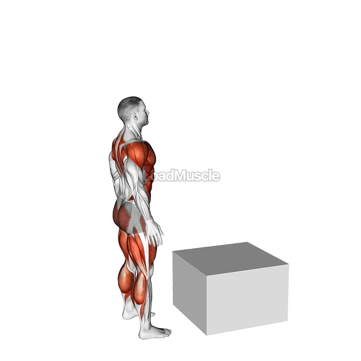 Jump Box demonstration