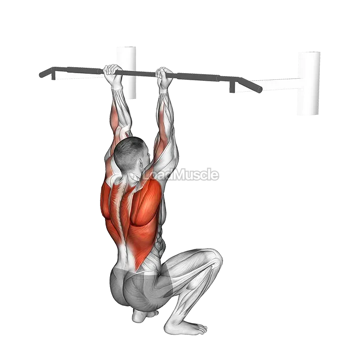 Assisted Chin-up (squat position) demonstration