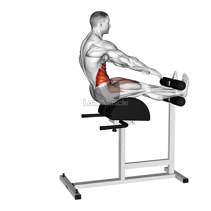 Decline Sit-up and Russian Twist demonstration