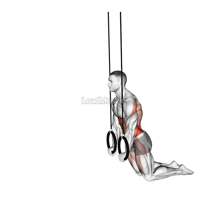 Ring Kneeling Ab RollOut demonstration