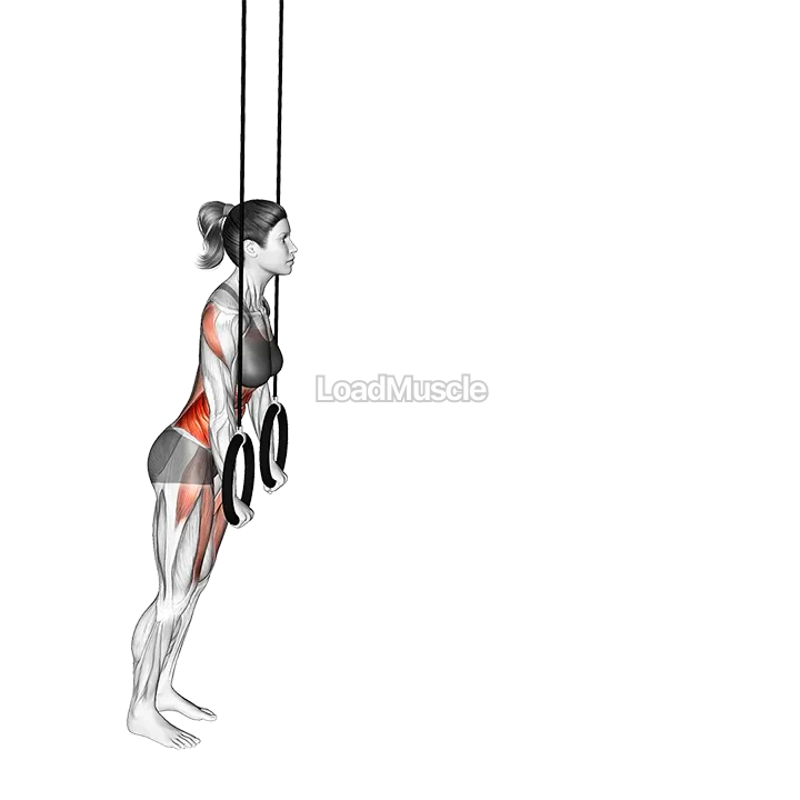 Ring Rollout demonstration