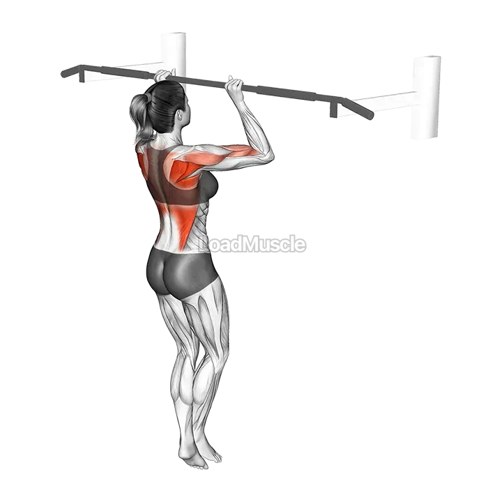 Top Pull-up Hold demonstration