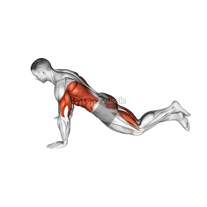 Kneeling Modified Hindu Push-up demonstration