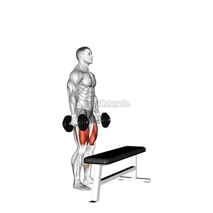 Dumbbell Step-up demonstration