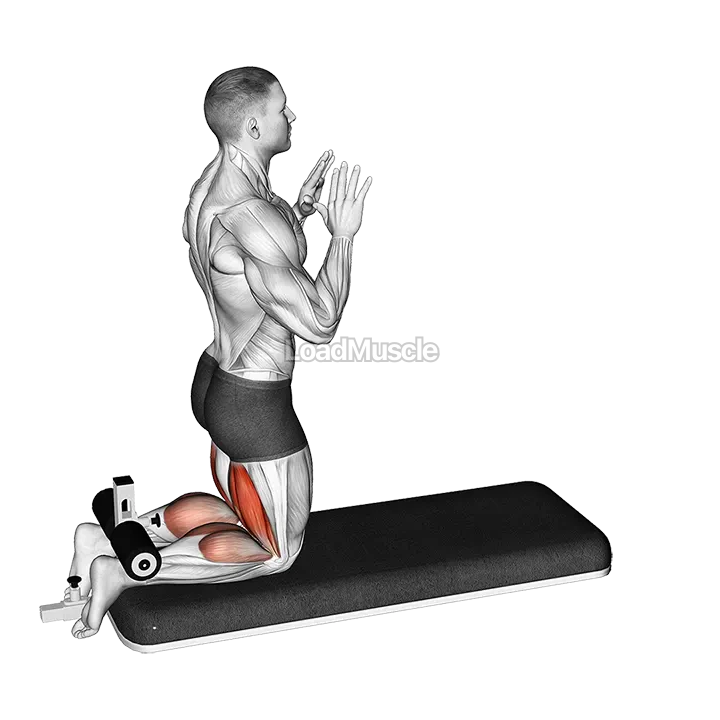 Inverse Leg Curl with Bench Pads demonstration