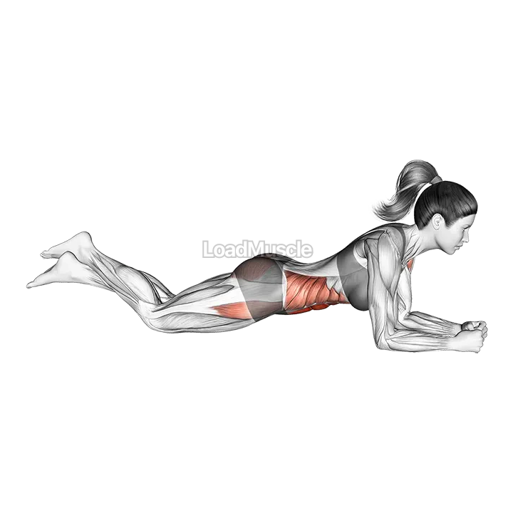 Kneeling Plank demonstration