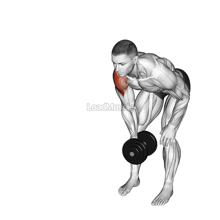 Dumbbell One Arm Y Elevation demonstration