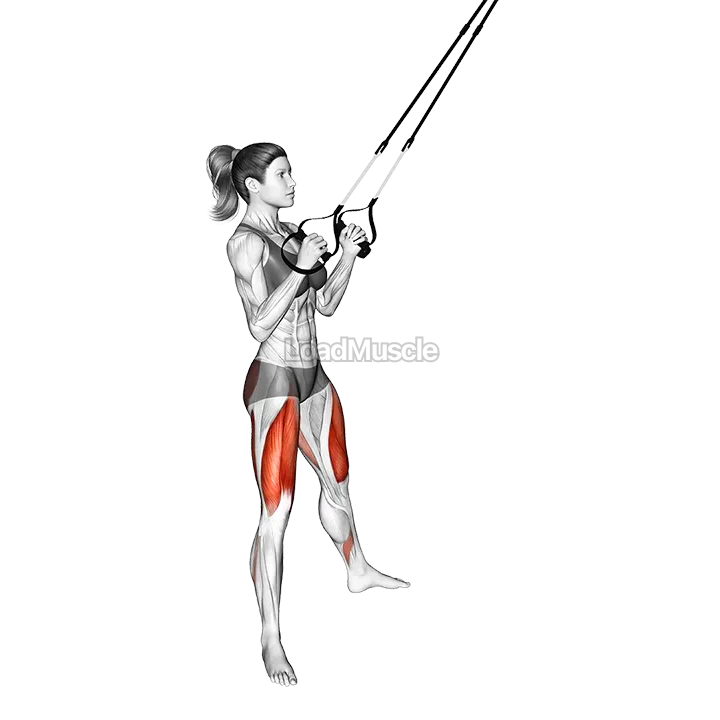 Suspension Sumo Squat demonstration