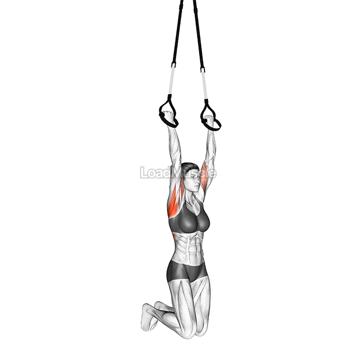 Suspension Chin-up demonstration