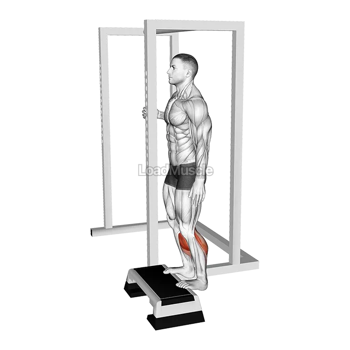Elevated Standing Calf Raise demonstration