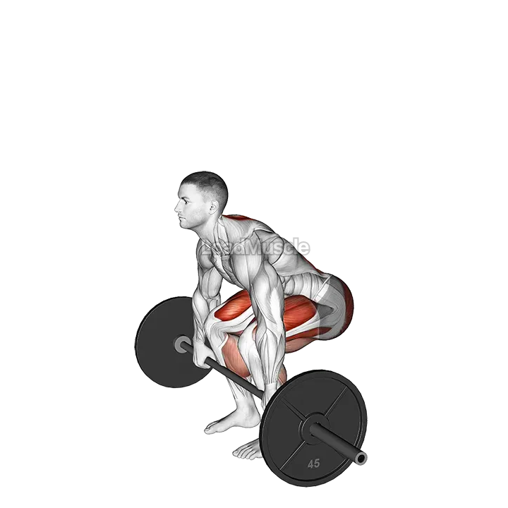 Barbell Pause Deadlift demonstration