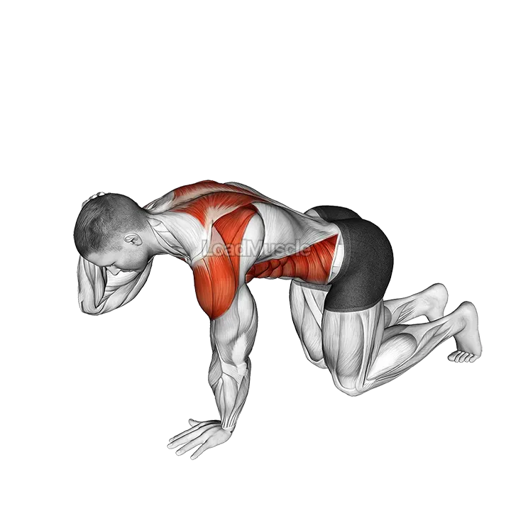 Kneeling Back Rotation demonstration